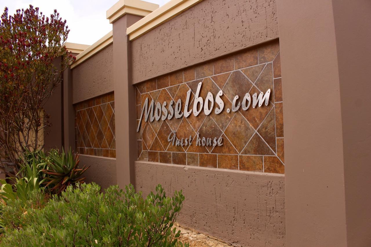 Mosselbos Guesthouse Self-Catering Great Brak River المظهر الخارجي الصورة