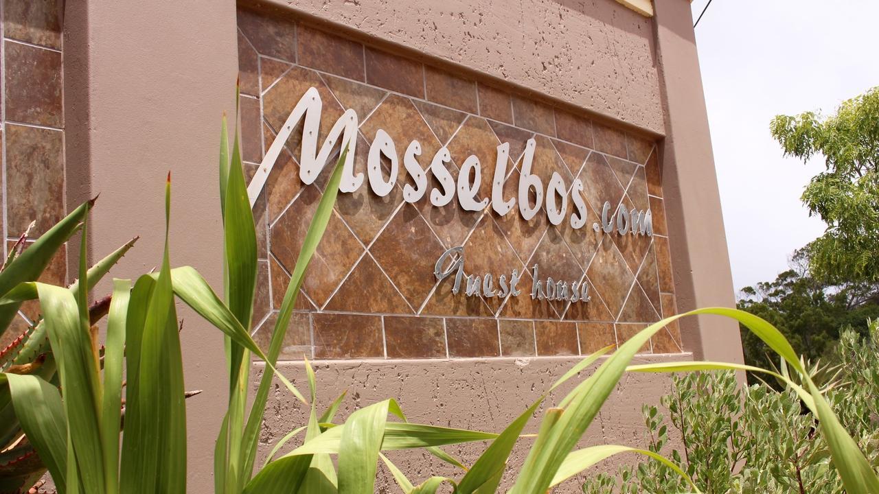 Mosselbos Guesthouse Self-Catering Great Brak River المظهر الخارجي الصورة